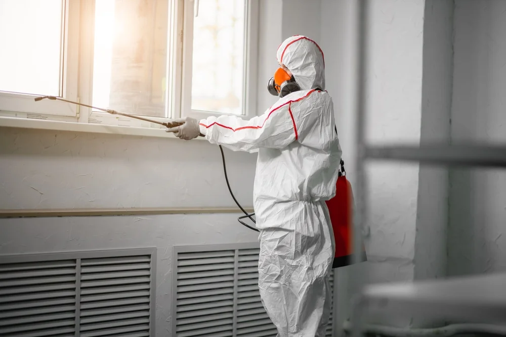 Professional mold remediation services in Mounds, OK